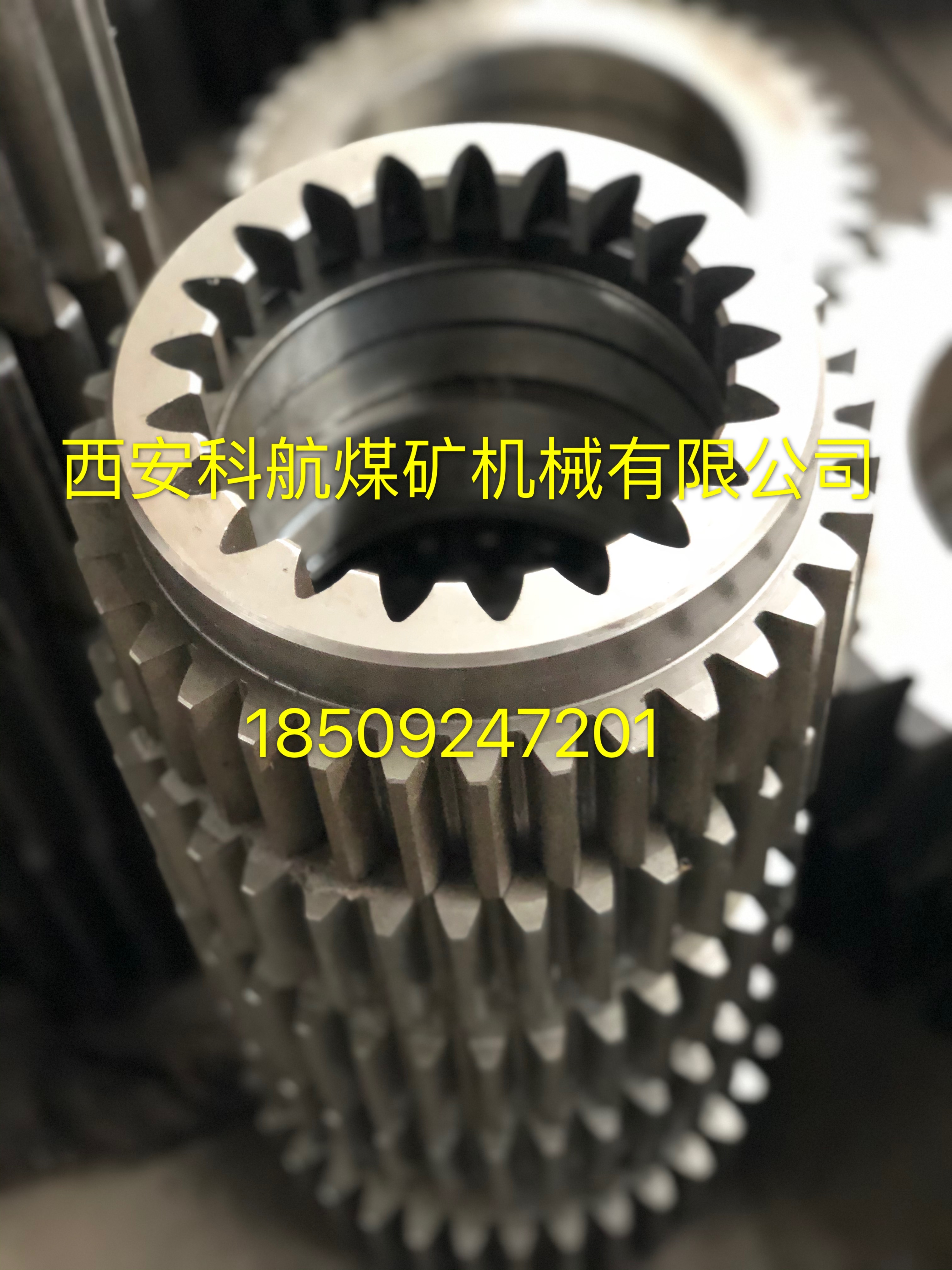 �c���鿴Ԕ��